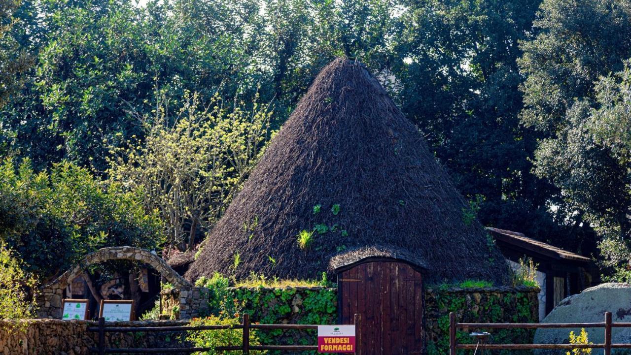 Agriturismo Sa Mandra Casa Minnina Dış mekan fotoğraf