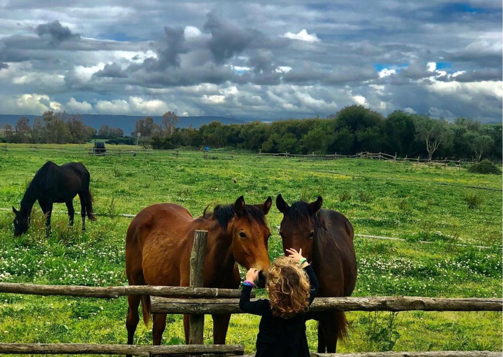 Agriturismo Sa Mandra Casa Minnina Dış mekan fotoğraf